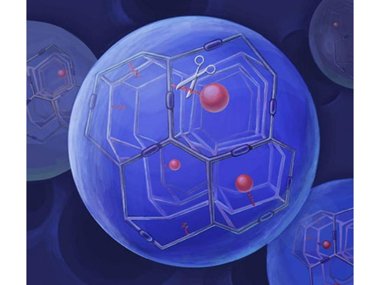 ProLynx. (n.d.). ProLynx Incorporated. Retrieved August 21, 2024, from https://prolynxinc.com/
