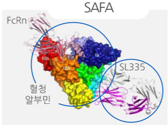 FcRn conjugated with SL335 (API protein)