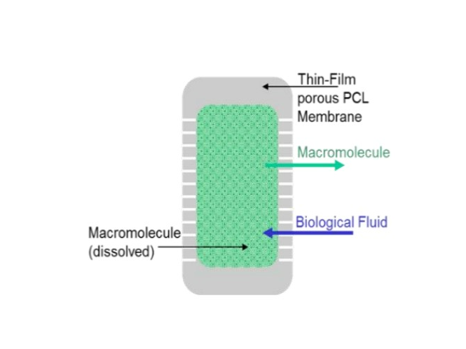 A nonporous thin film membrane controlled reservoir system in which macromolecular API is loaded as a solid into the reservoir