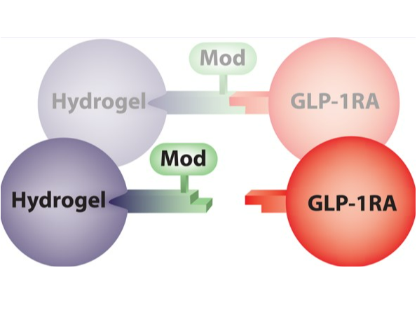 Dissociation of the API from the Hydrogel molecule attached to the cross-linker