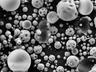 SEM images of silica-triptorelin acetate microparticles (magnification 5000×)