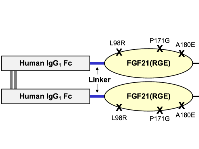 Punegel et al. 2023