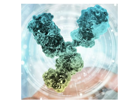 Ambrx. (n.d.). Enhanced technology. Retrieved November 7, 2024, from https://ambrx.com/technology/#enhanced