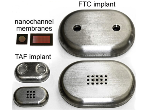 Chua CYX, Jain P, Ballerini A, et al. Transcutaneously refillable nanofluidic implant achieves sustained level of tenofovir diphosphate for HIV pre-exposure prophylaxis. J Control Release. 2018;286:31