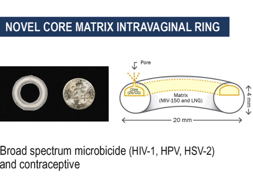 Cross section of the core matrix intravaginal ring with the microbicide and a hormonal contraceptive. The