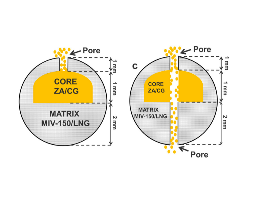 Cross sections depicting core and matrix compartments of the same IVR with a core side pore