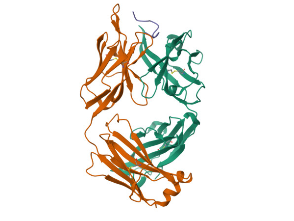 https://doi.org/10.2210/pdb6B5L/pdb