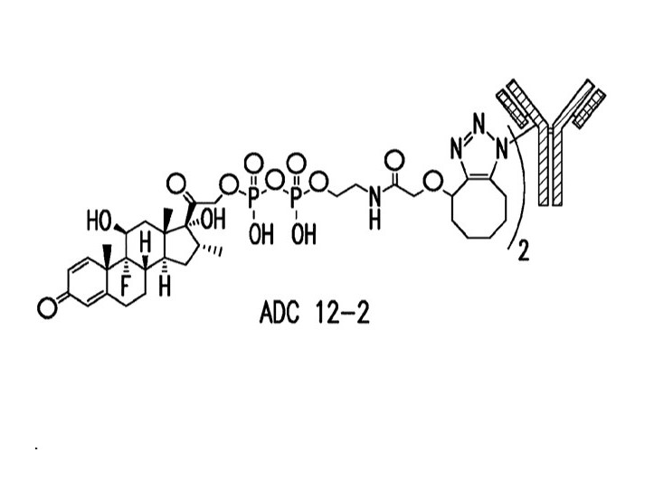 Antibody-drug conjugate (ADC)