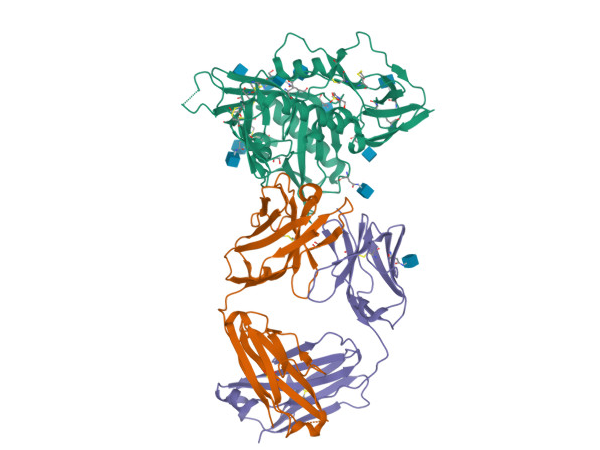 http://doi.org/10.2210/pdb4JPV/pdb