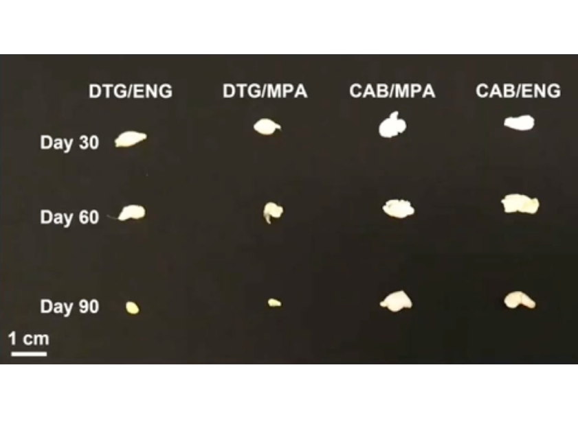 Depots retrieved 90 days post subcutaneous administration in mice model to quantify residual drug and polymer degradation