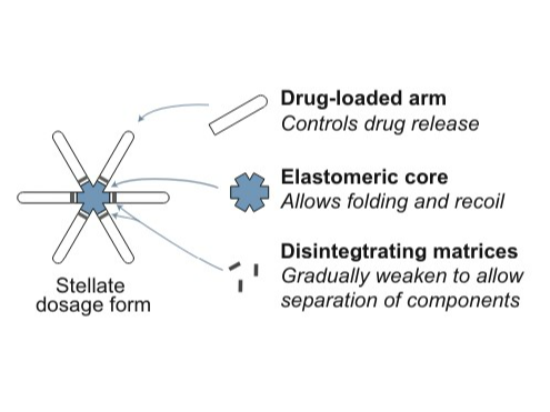 Kanasty, R., Low, S., Bhise, N., Yang, J., Peeke, E., Schwarz, M., ... & Bellinger, A. M. (2019). A pharmaceutical answer to nonadherence: Once weekly oral memantine for Alzheimer's disease.