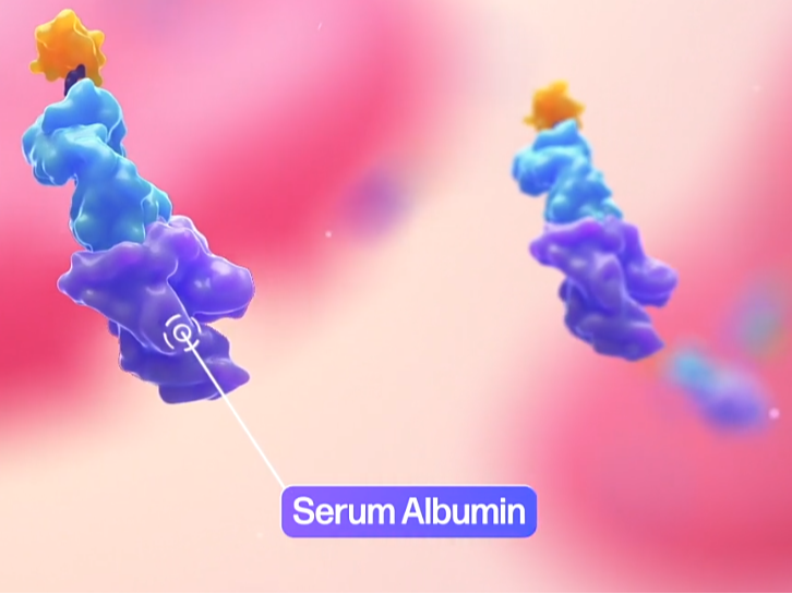 SAFA body conjugated with the serum albumin (protein binding)