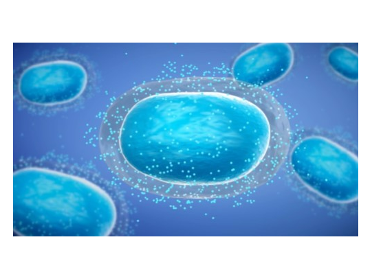 Eupraxia Pharmaceuticals Inc. (n.d.). EP-104IAR. Retrieved October 25, 2024, from https://eupraxiapharma.com/our-science/ep-104iar/default.aspx