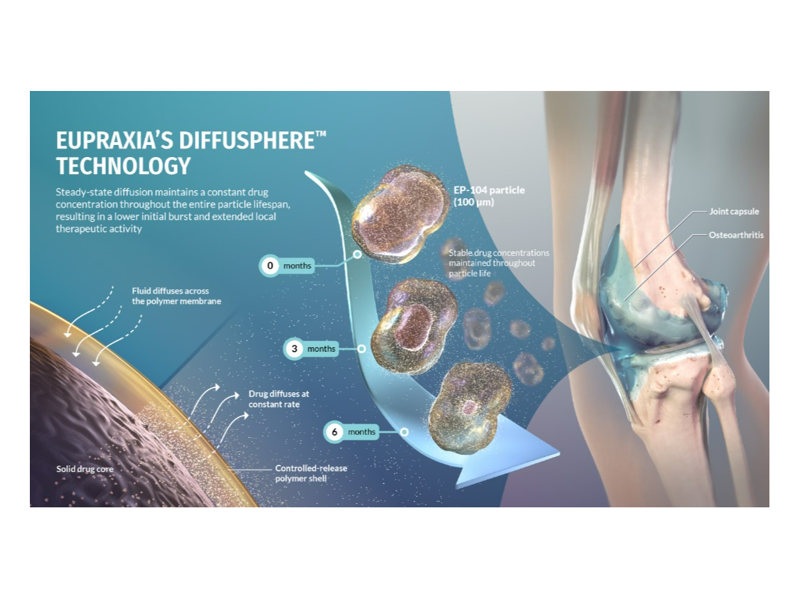 Targeted site of action at a controlled release rate after intra-articular injection of Diffusphere formulation