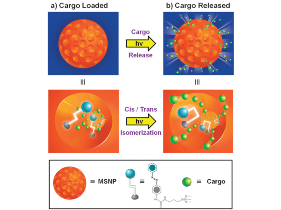 Li Z, Barnes JC, Bosoy A, Stoddart JF, Zink JI. Mesoporous silica nanoparticles in biomedical applications. Chem Soc Rev. 2012;41(7):2590-2605. doi:10.1039/c1cs15246g