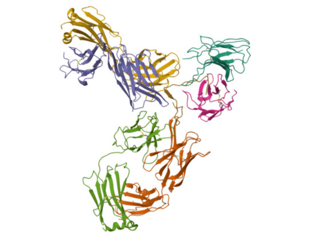 https://doi.org/10.2210/pdb8EK1/pdb