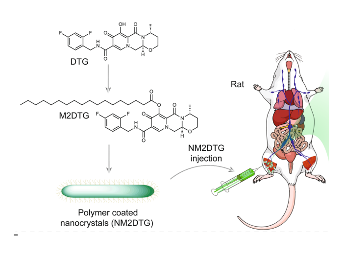 Dolutegravir converted to Prodrug and tested as IM injection in rats