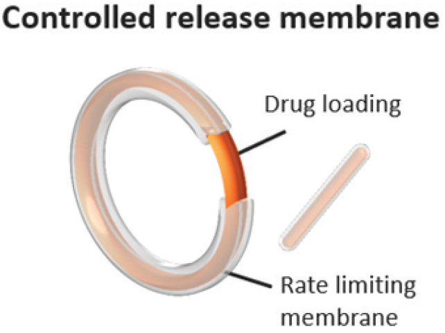 Holmes, C., Chen, K., & Duke, B. (n.d.). Drug delivery platform - VitalDose® EVA implants for systemic & local delivery of therapeutics. Celanese. Retrieved from https://www.celanese.com/-/media/eva%2