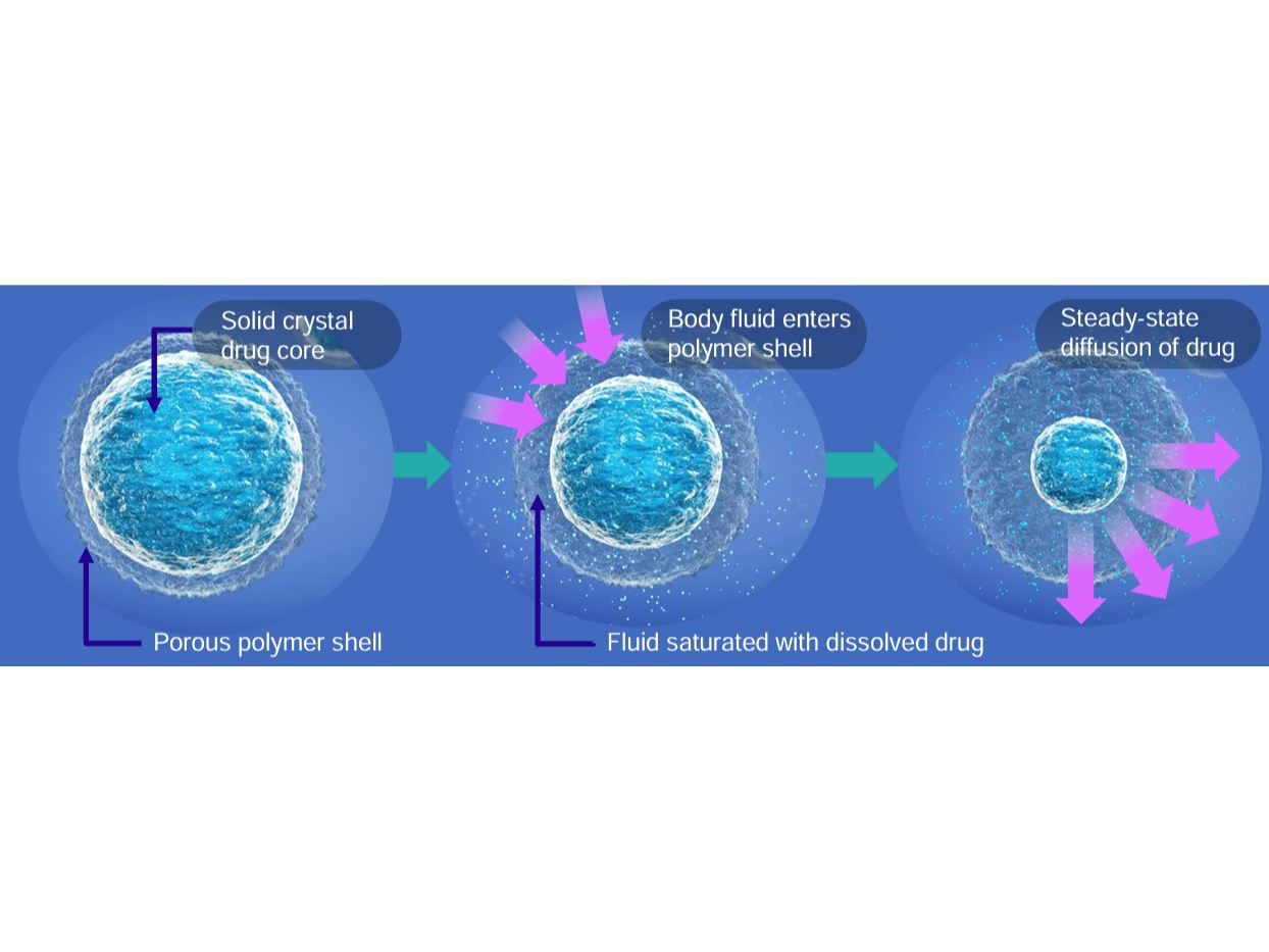 Mechanism of drug release from the Diffusphere formulation